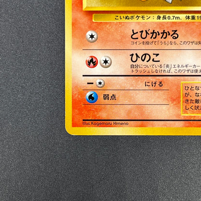 Growlithe 058 Intro Pack Squirtle Japanese Pokemon Card