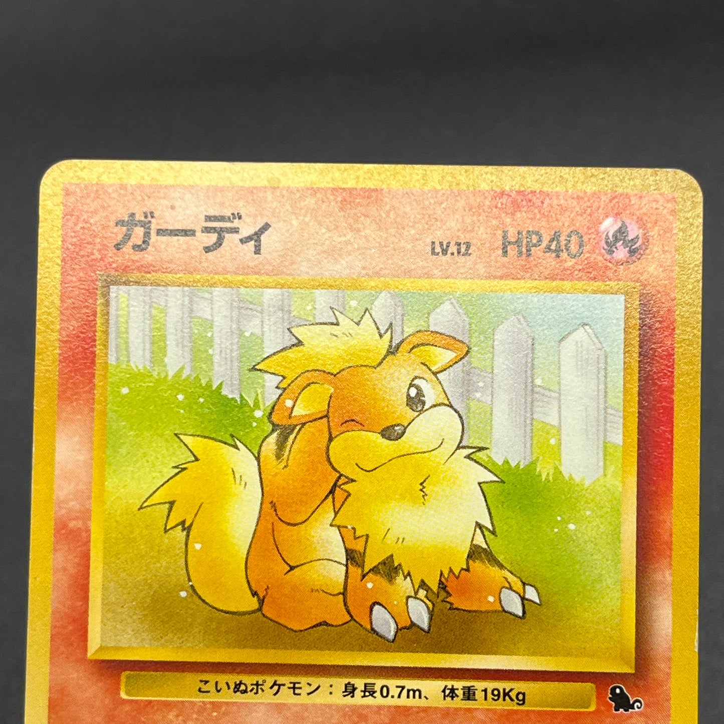 Growlithe 058 Intro Pack Squirtle Japanese Pokemon Card