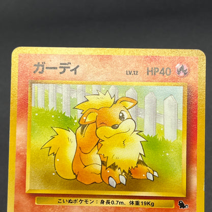 Growlithe 058 Intro Pack Squirtle Japanese Pokemon Card