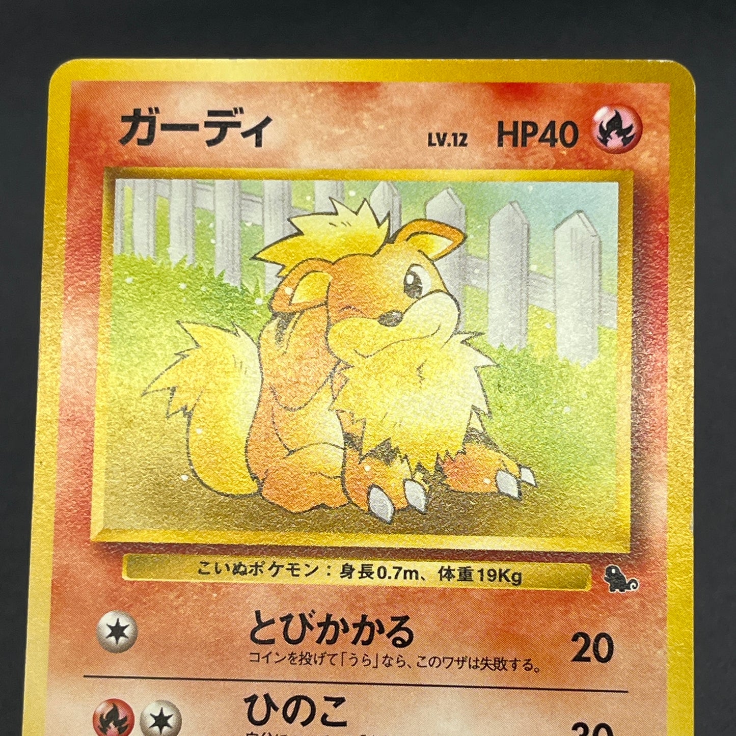 Growlithe 058 Intro Pack Squirtle Japanese Pokemon Card