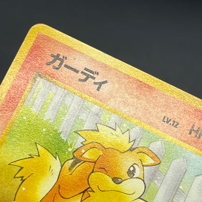 Growlithe 058 Intro Pack Squirtle Japanese Pokemon Card