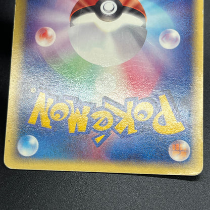 Rayquaza 047/054 Rulers of the Heavens Holo Pokémon Card