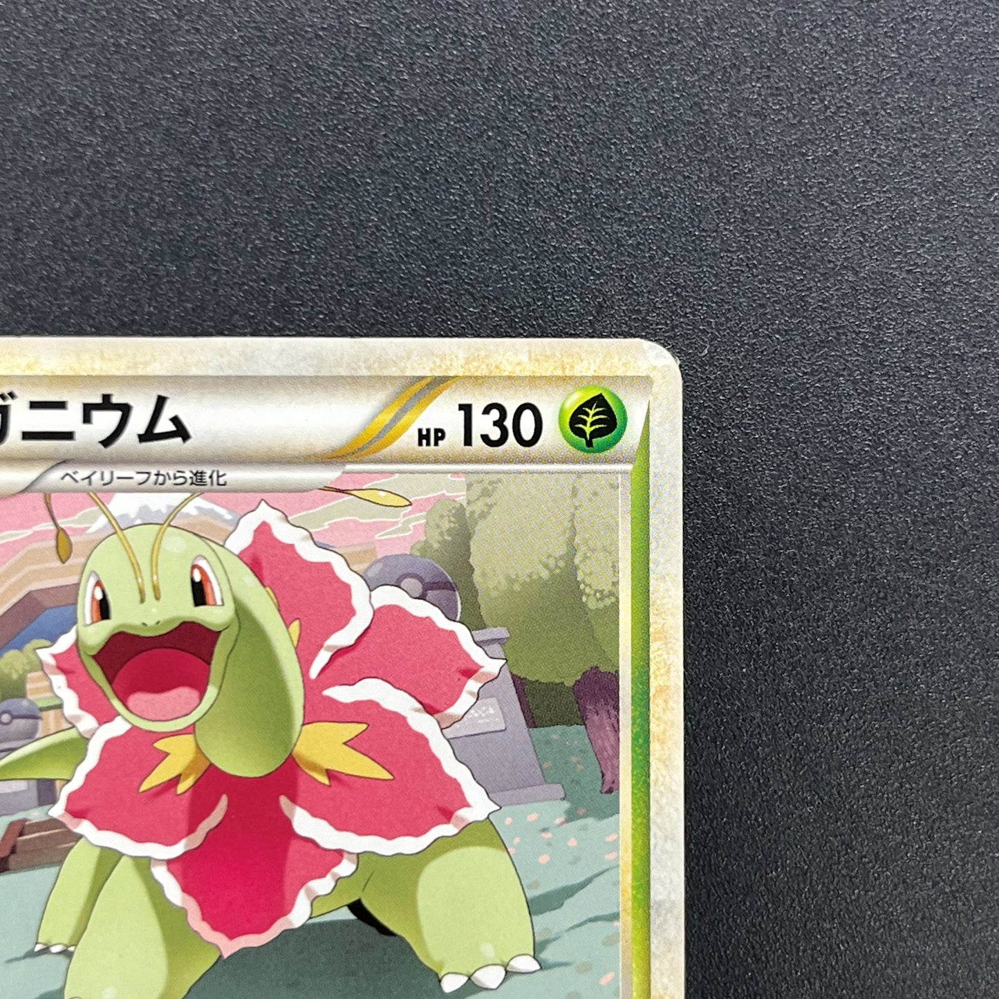 Meganium 001/L-P Promo Challenge Hiroba Pokemon Card