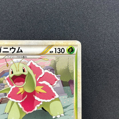 Meganium 001/L-P Promo Challenge Hiroba Pokemon Card