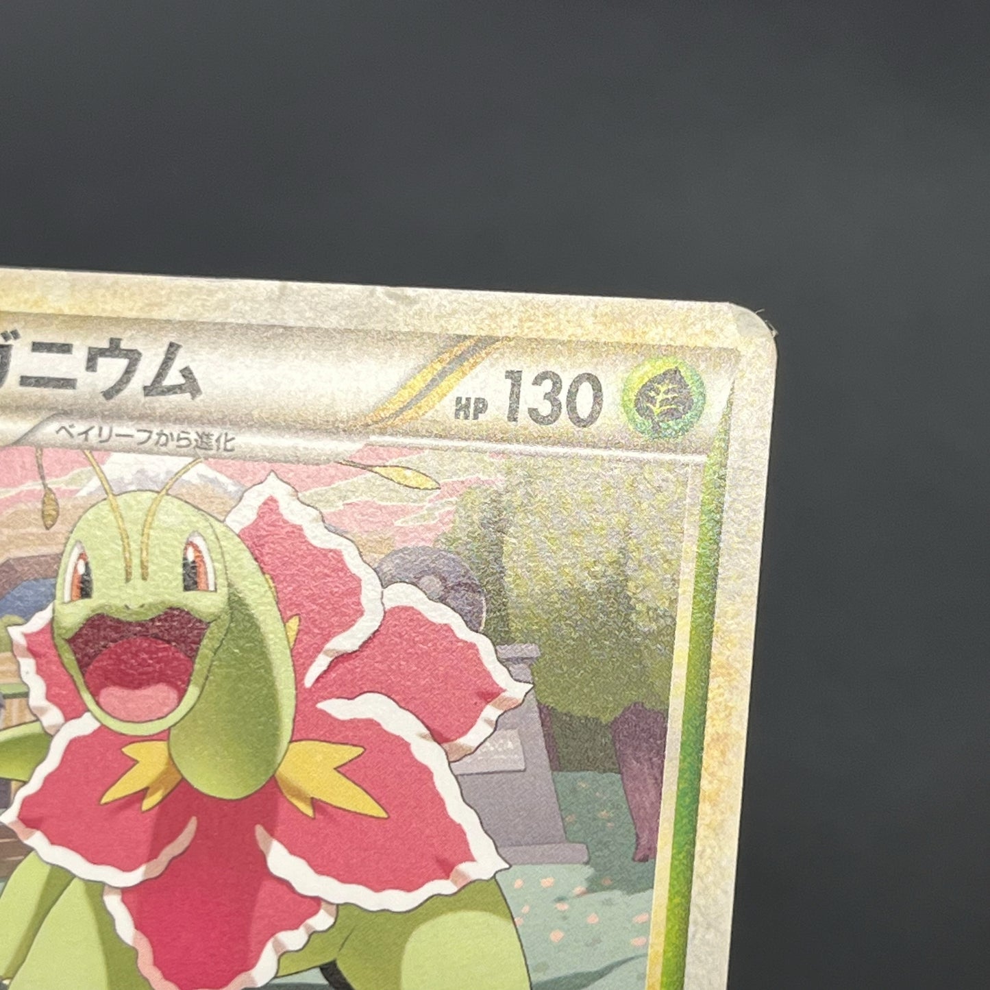 Meganium 001/L-P Promo Challenge Hiroba Pokemon Card