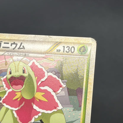 Meganium 001/L-P Promo Challenge Hiroba Pokemon Card