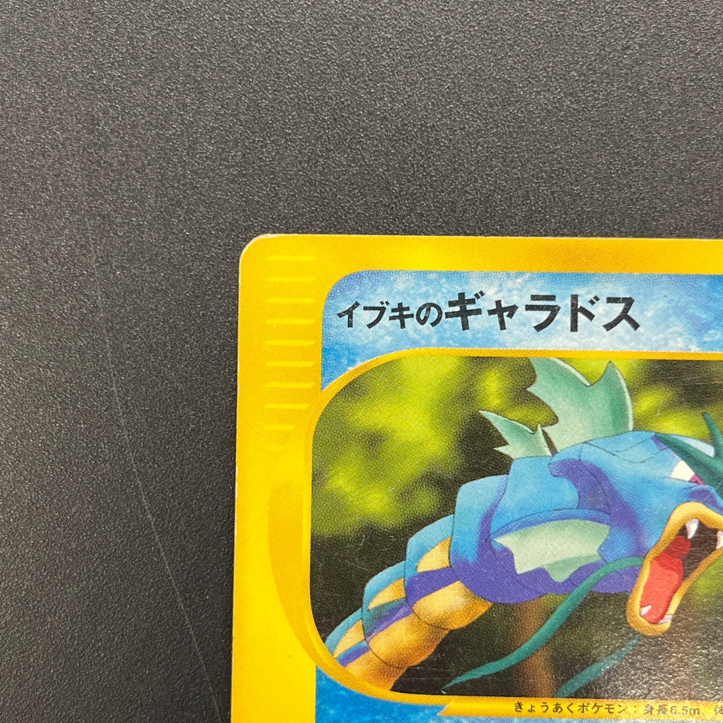 Clair’s Gyarados 048/141 VS 1st Ed Japanese Pokemon Card
