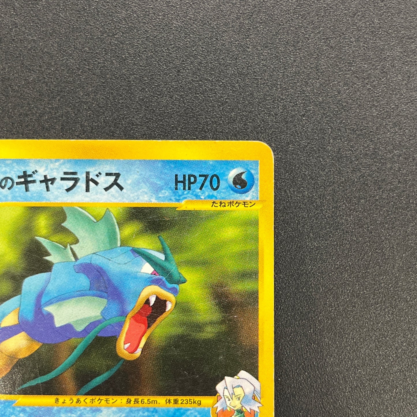 Clair’s Gyarados 048/141 VS 1st Ed Japanese Pokemon Card