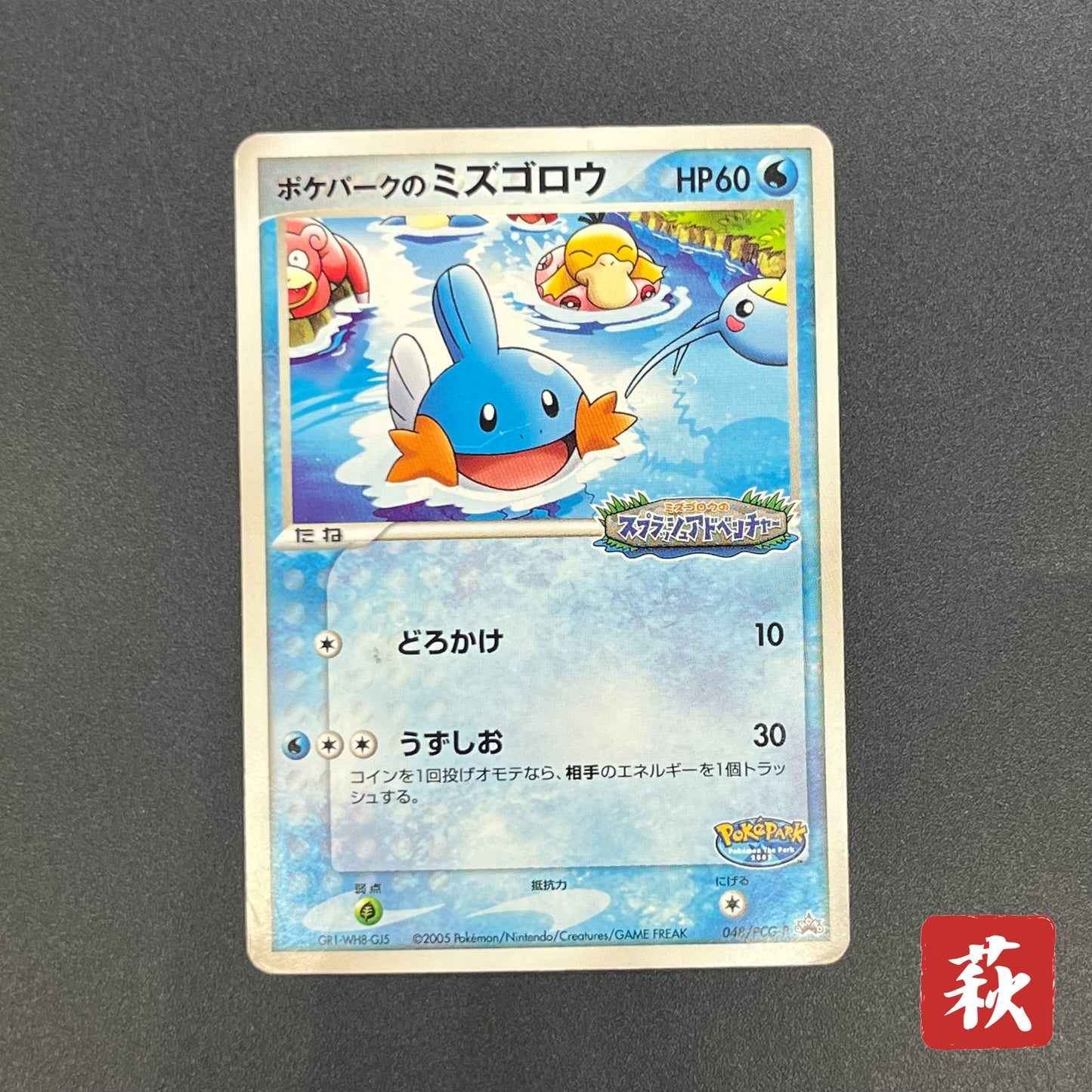 PokePark's Mudkip 048/PCG-P Promo Japanese Pokémon Card