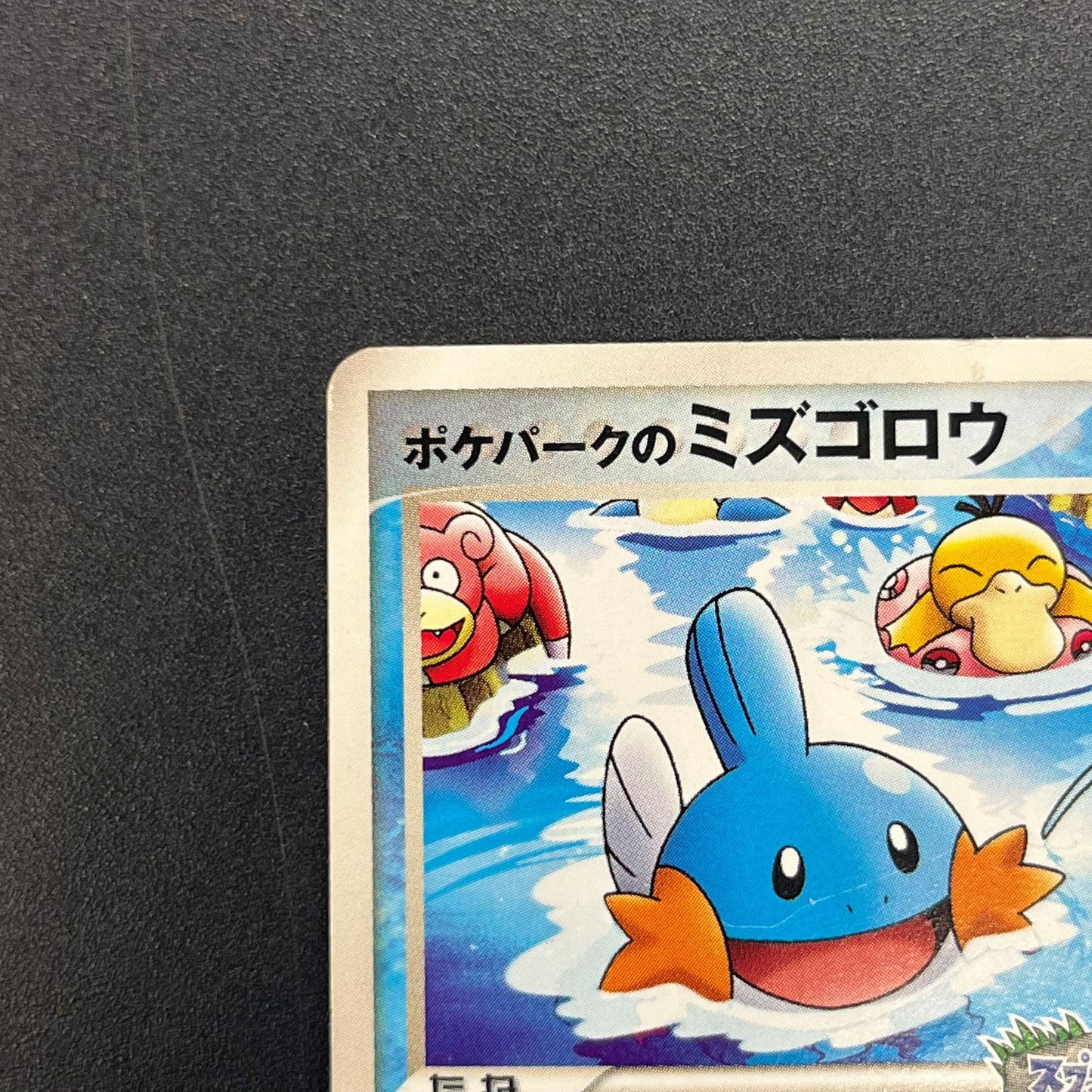 PokePark's Mudkip 048/PCG-P Promo Japanese Pokémon Card