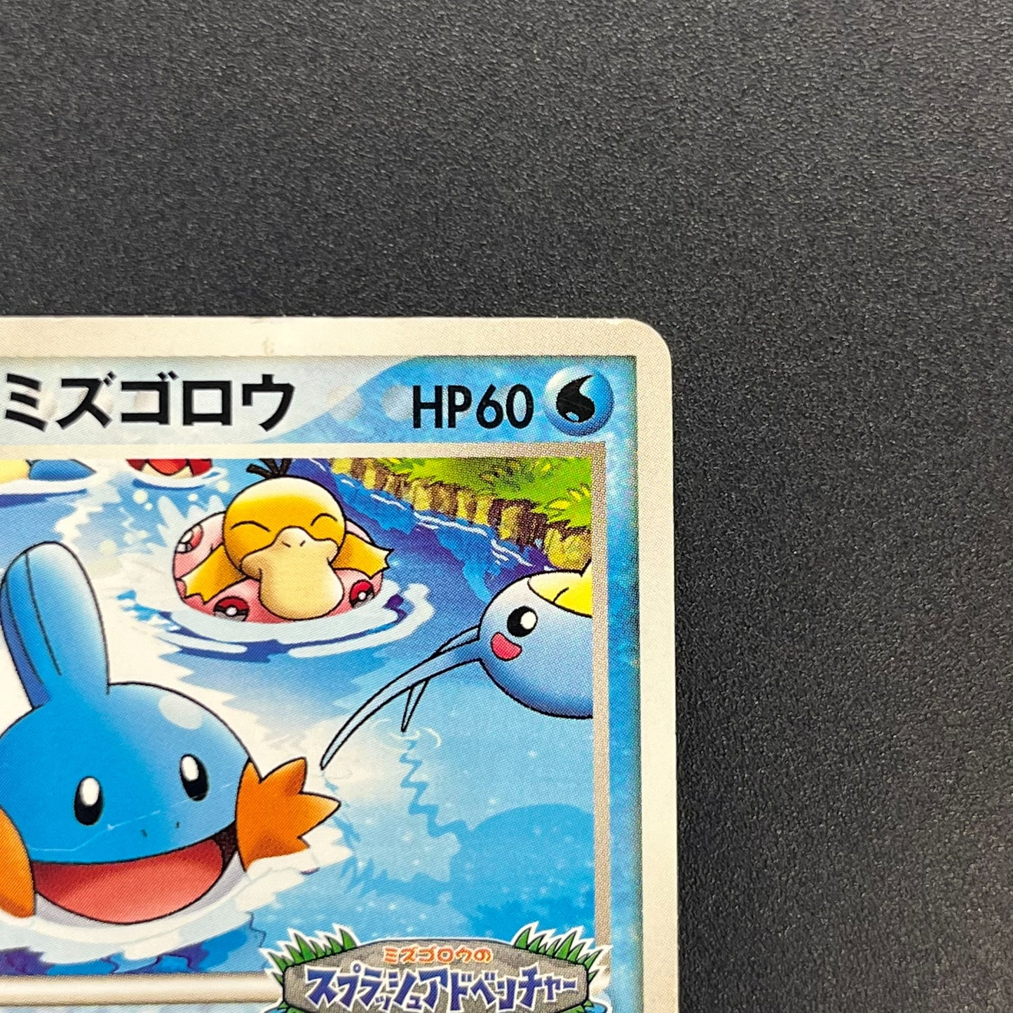 PokePark's Mudkip 048/PCG-P Promo Japanese Pokémon Card