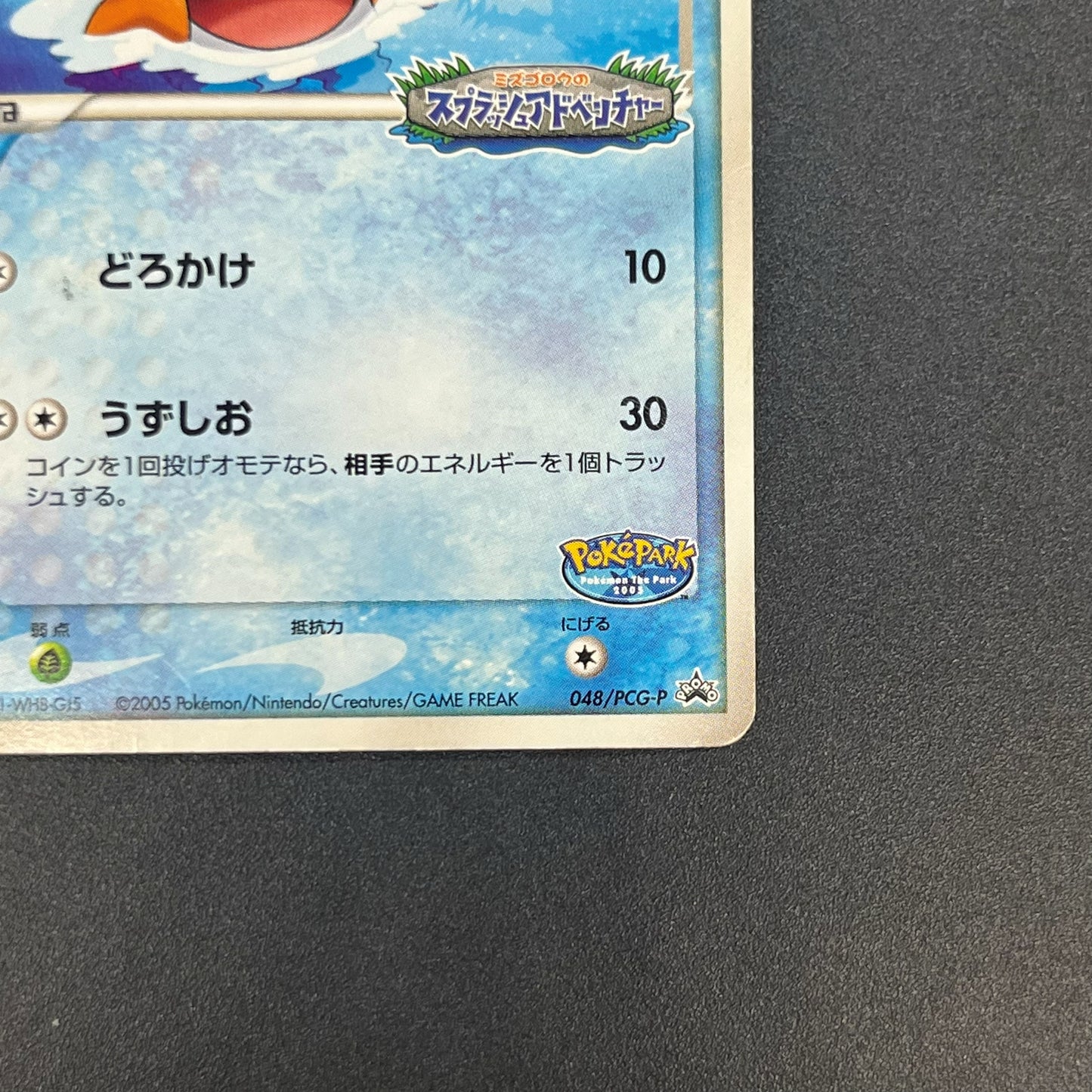 PokePark's Mudkip 048/PCG-P Promo Japanese Pokémon Card