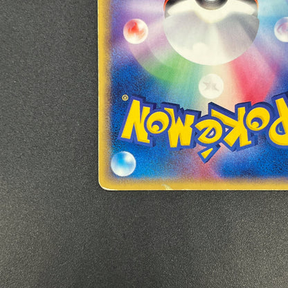 PokePark's Mudkip 048/PCG-P Promo Japanese Pokémon Card