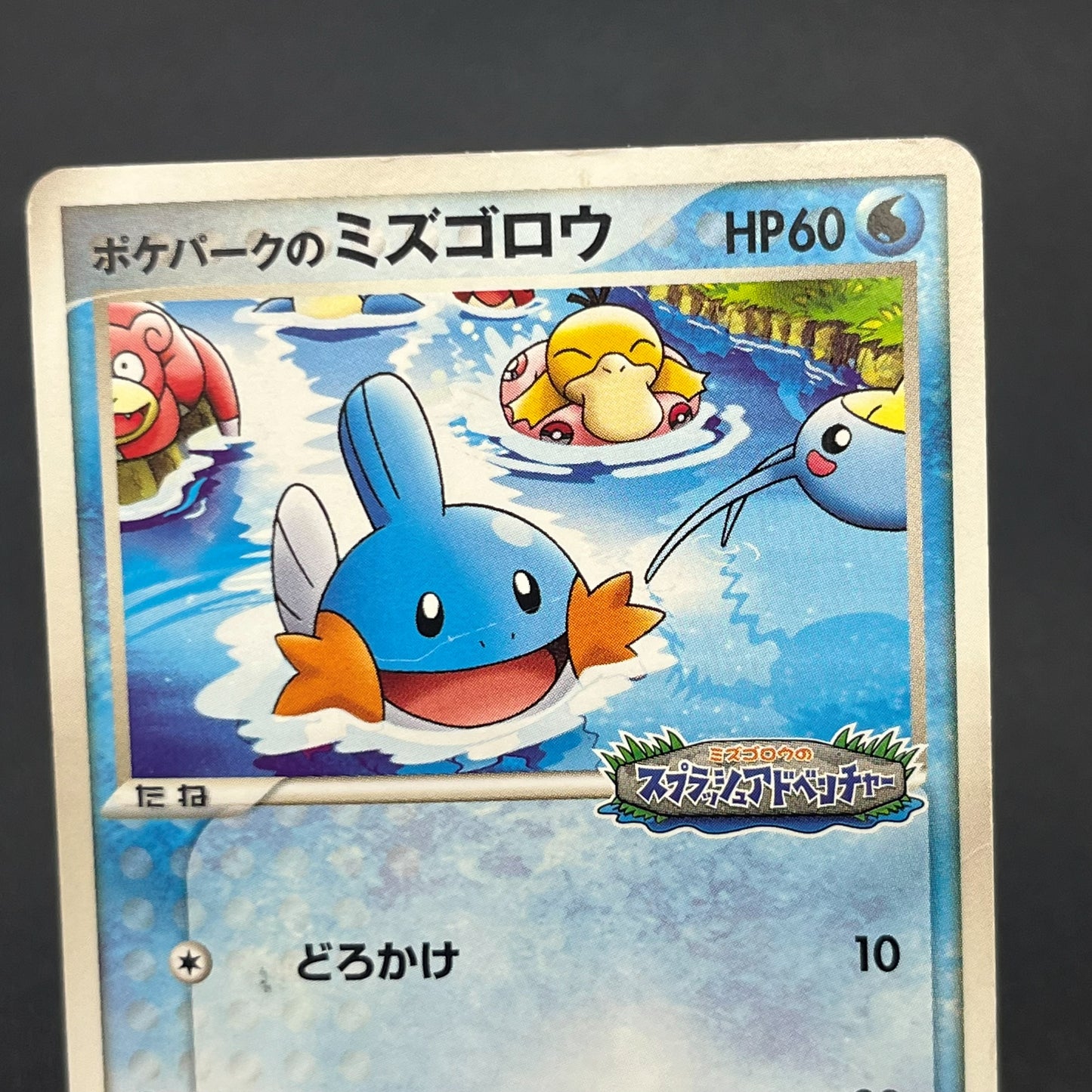 PokePark's Mudkip 048/PCG-P Promo Japanese Pokémon Card