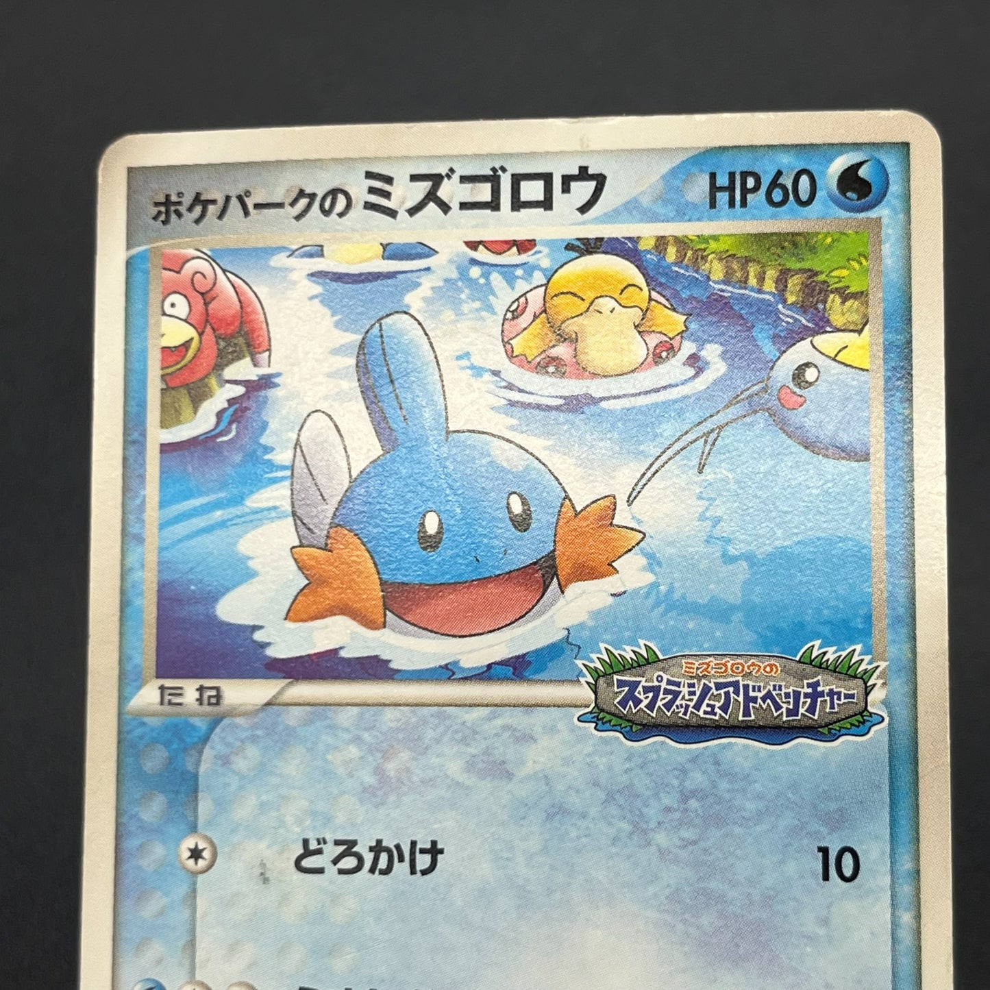 PokePark's Mudkip 048/PCG-P Promo Japanese Pokémon Card