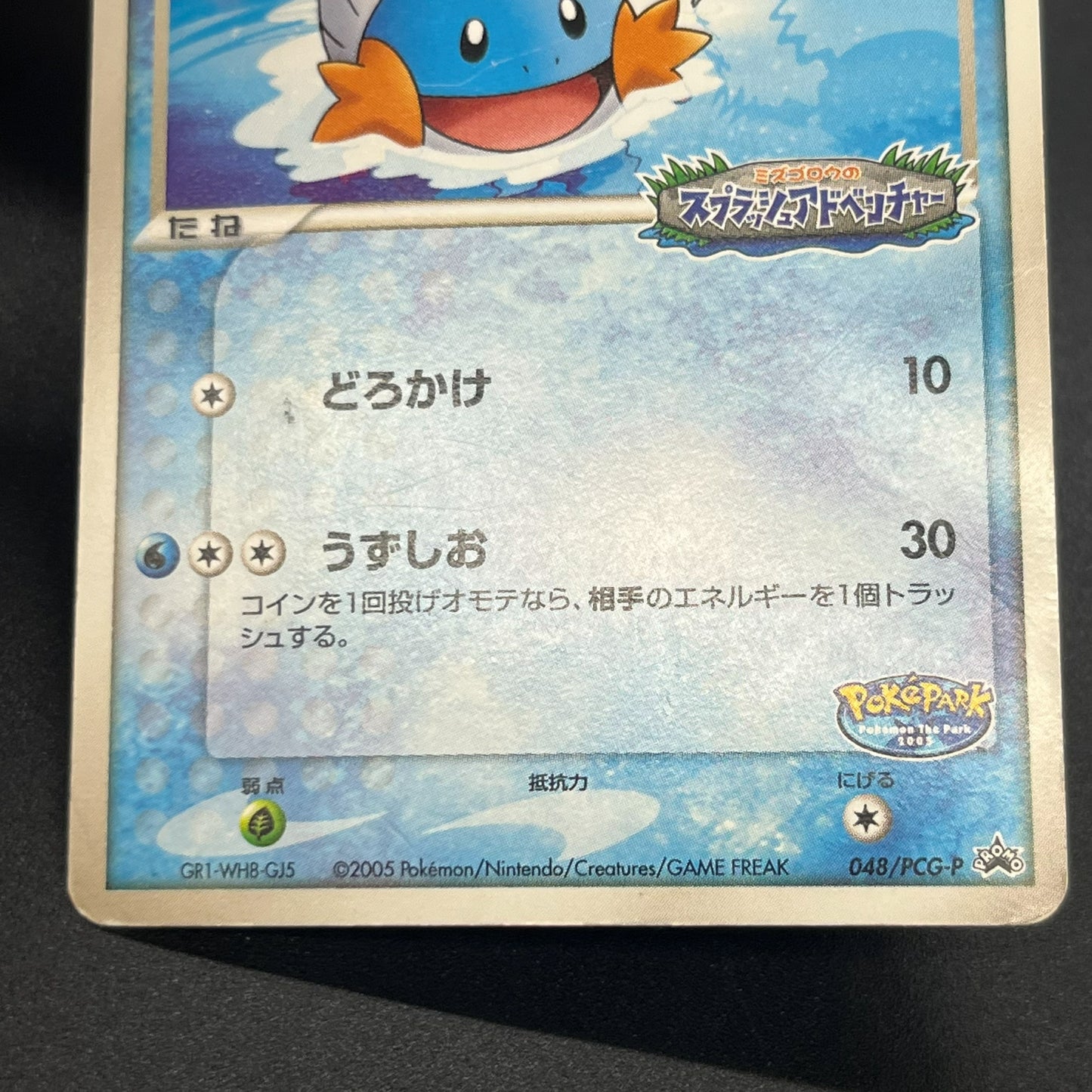 PokePark's Mudkip 048/PCG-P Promo Japanese Pokémon Card