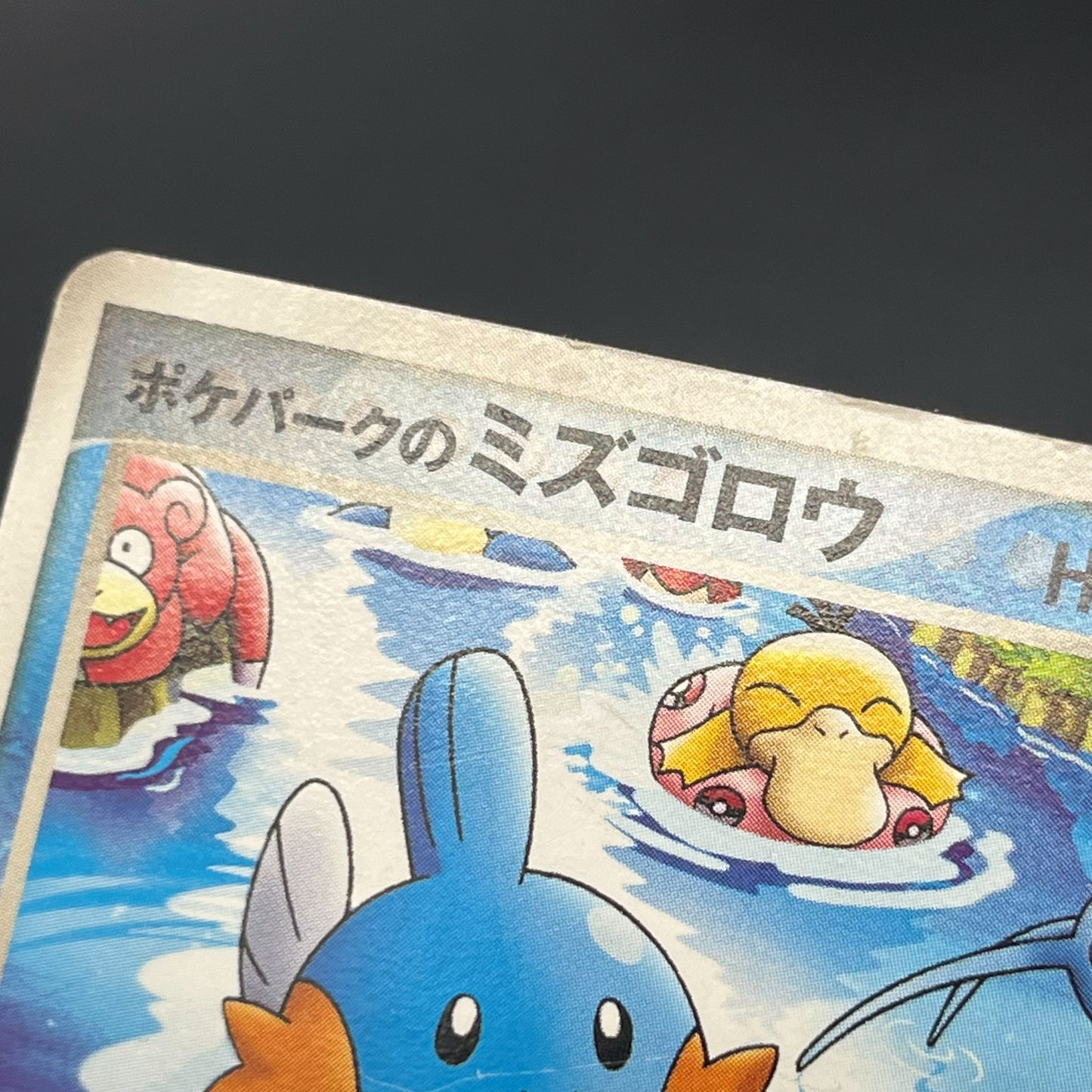 PokePark's Mudkip 048/PCG-P Promo Japanese Pokémon Card