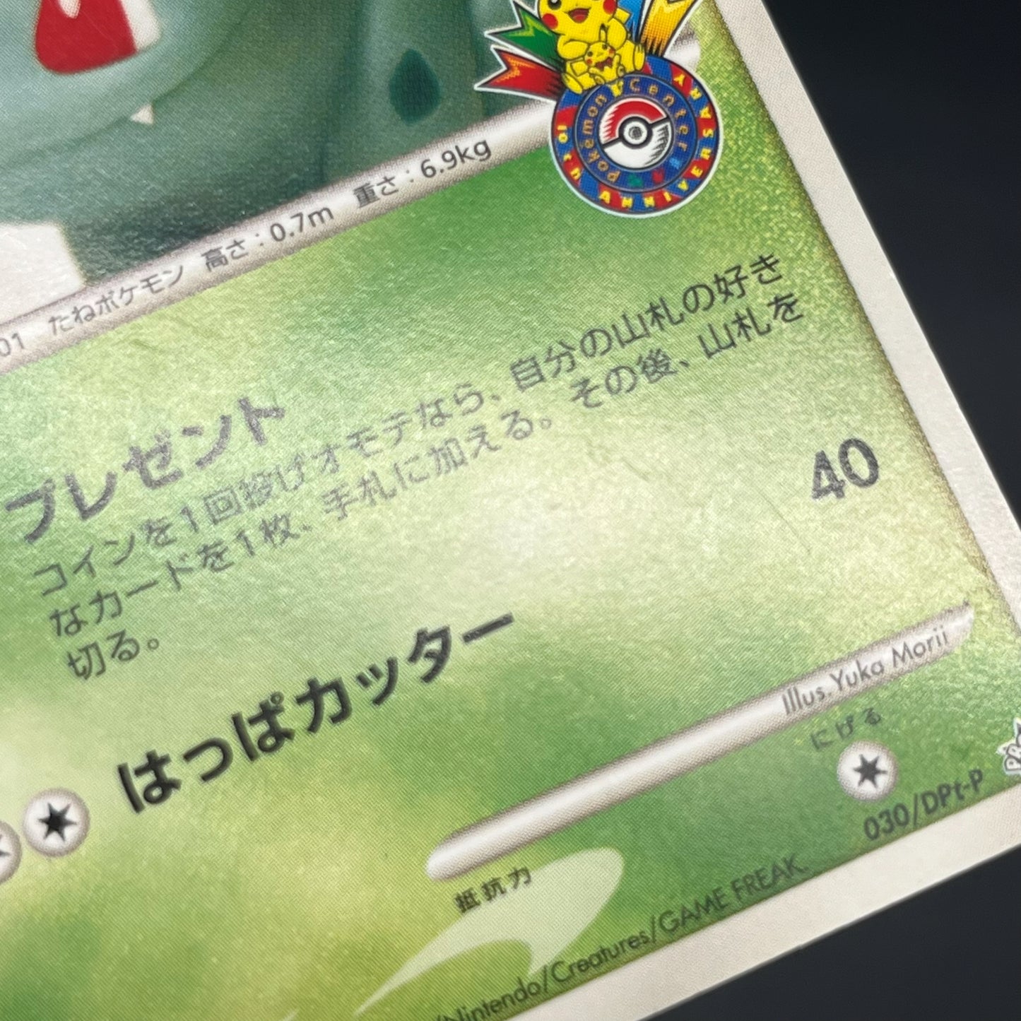 Bulbasaur 030/DPt-P Pokemon 10th Anniversary Card