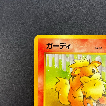 Growlith No. 058 Intro Pack Squirtle Japanese Pokémon Card
