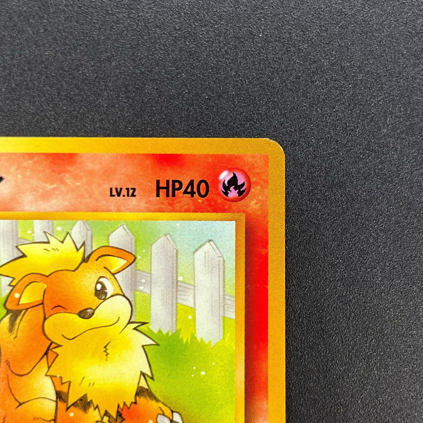 Growlith No. 058 Intro Pack Squirtle Japanese Pokémon Card
