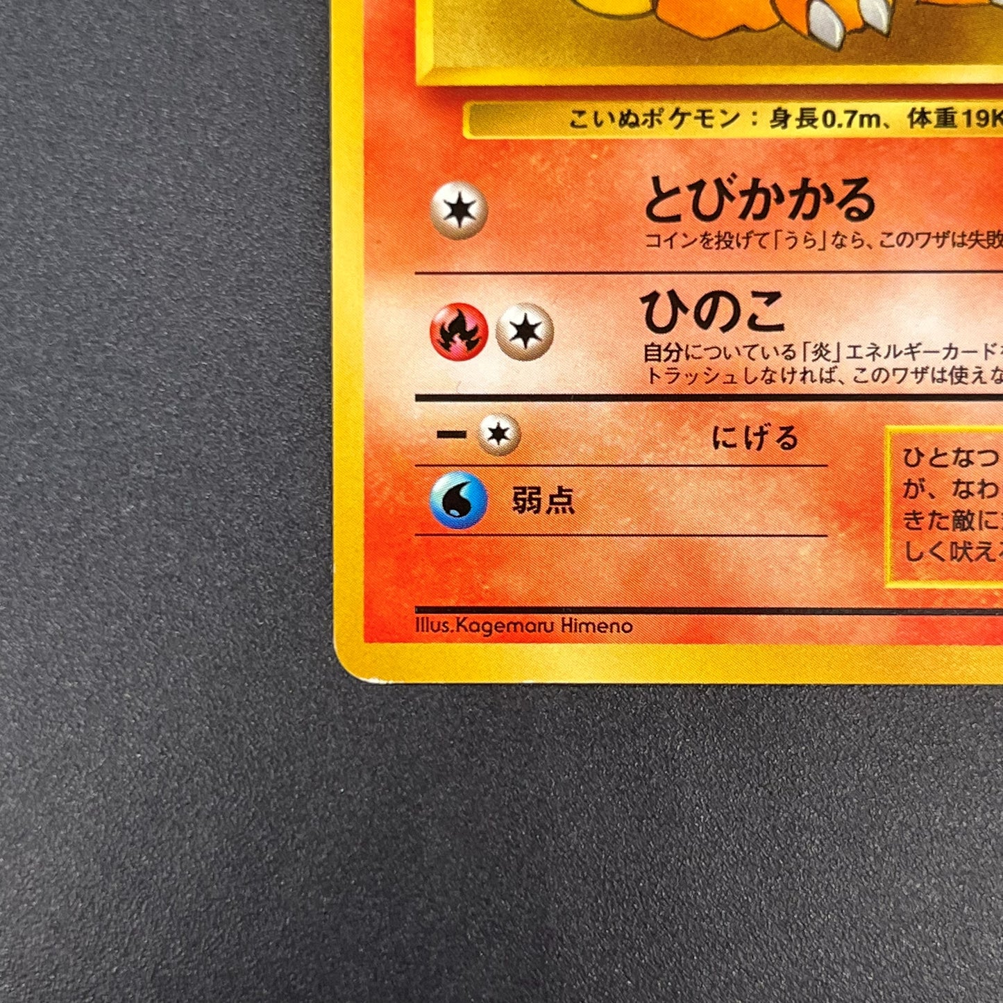 Growlith No. 058 Intro Pack Squirtle Japanese Pokémon Card