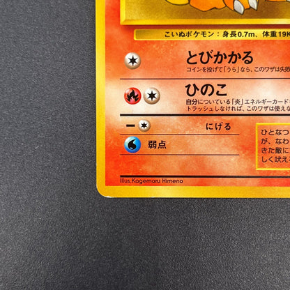 Growlith No. 058 Intro Pack Squirtle Japanese Pokémon Card