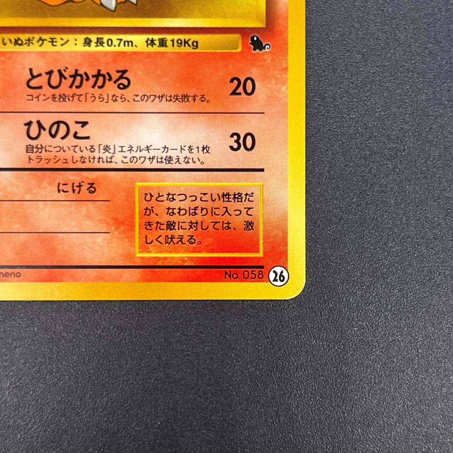 Growlith No. 058 Intro Pack Squirtle Japanese Pokémon Card