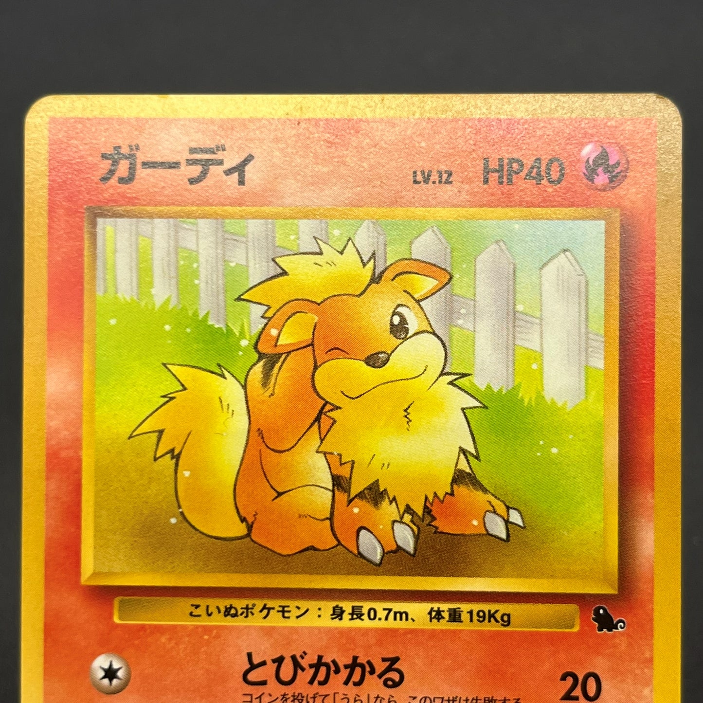 Growlith No. 058 Intro Pack Squirtle Japanese Pokémon Card