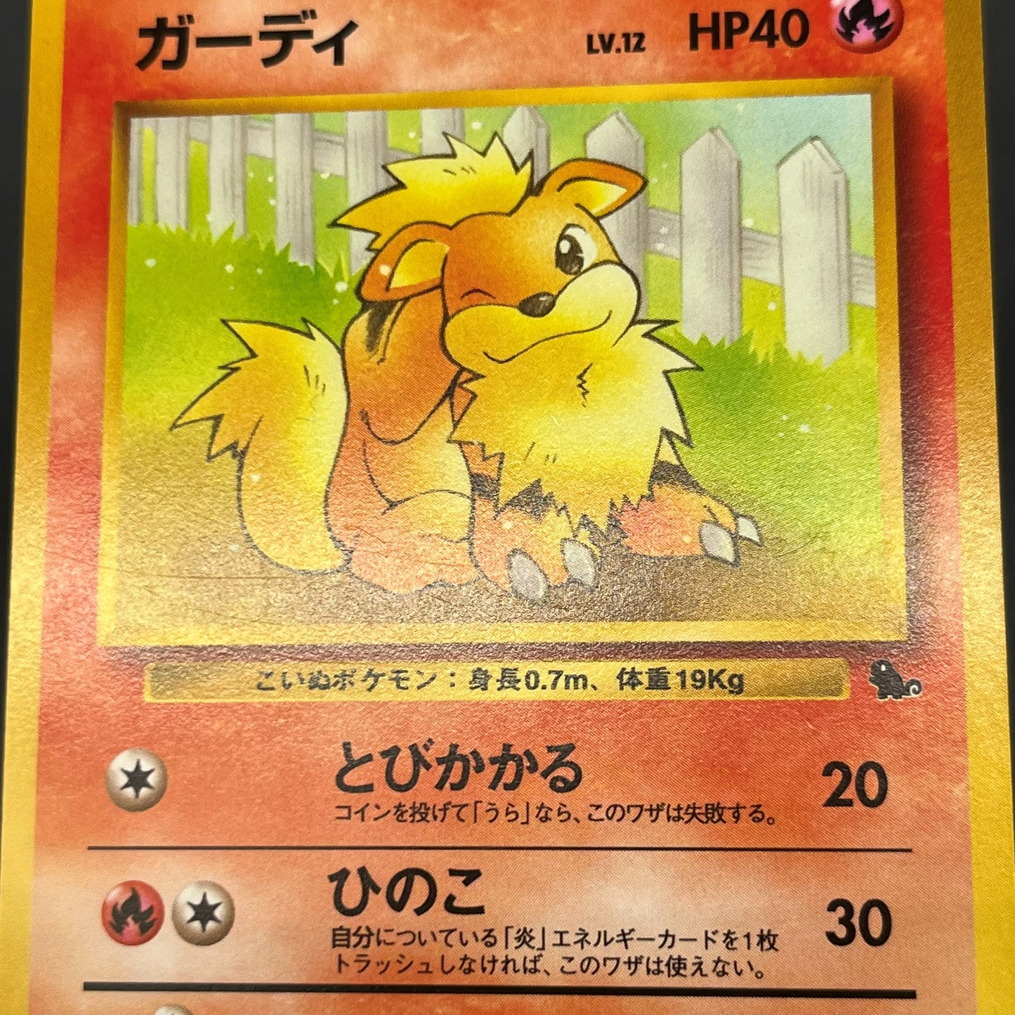 Growlith No. 058 Intro Pack Squirtle Japanese Pokémon Card