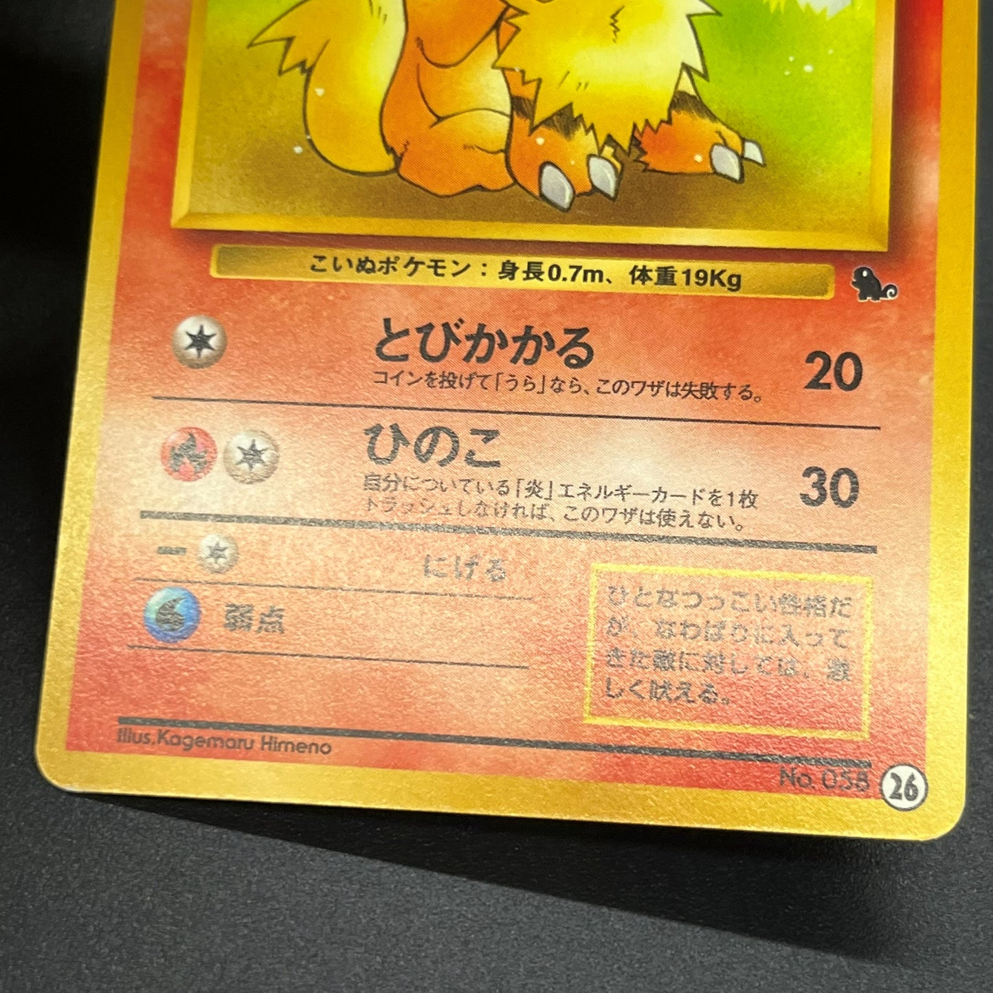 Growlith No. 058 Intro Pack Squirtle Japanese Pokémon Card