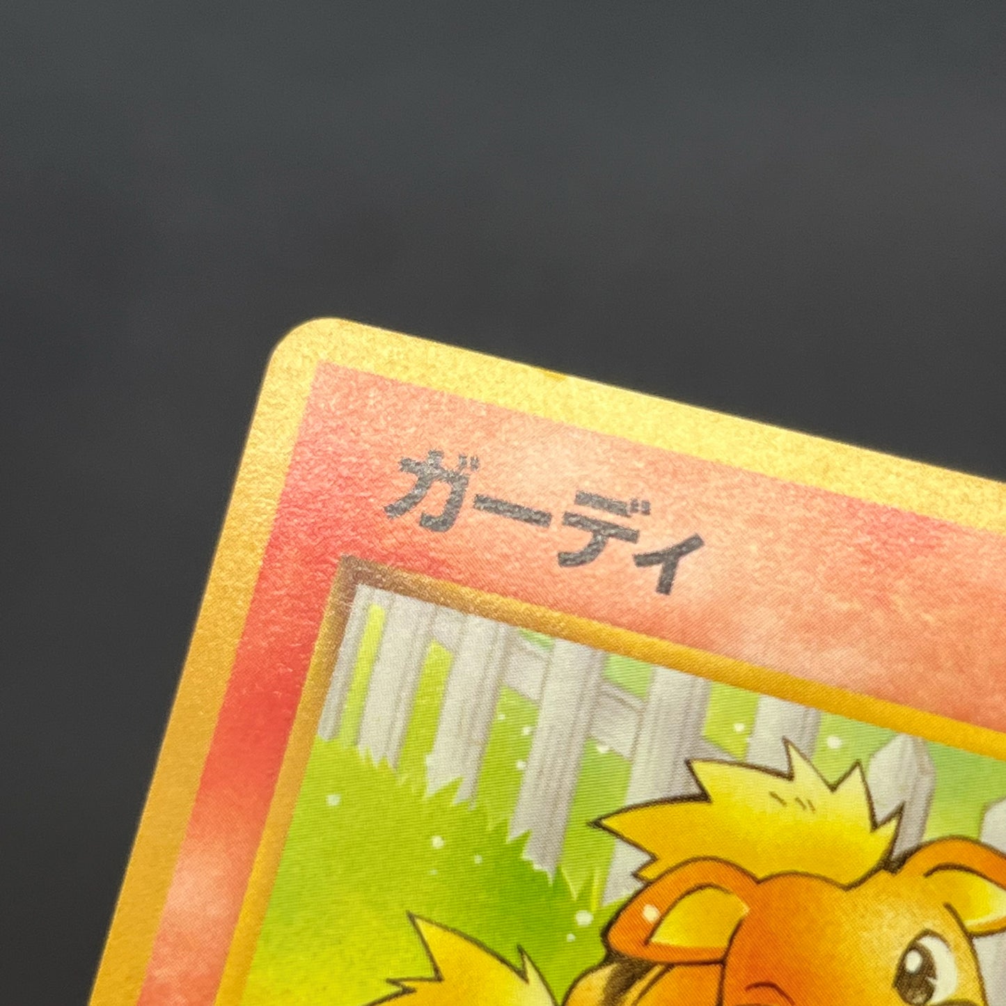 Growlith No. 058 Intro Pack Squirtle Japanese Pokémon Card