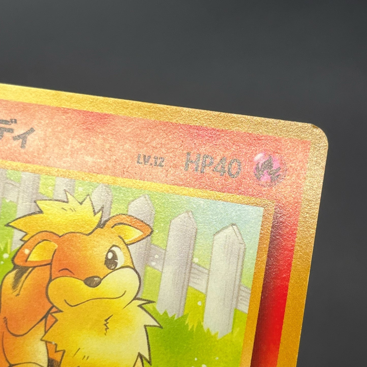 Growlith No. 058 Intro Pack Squirtle Japanese Pokémon Card