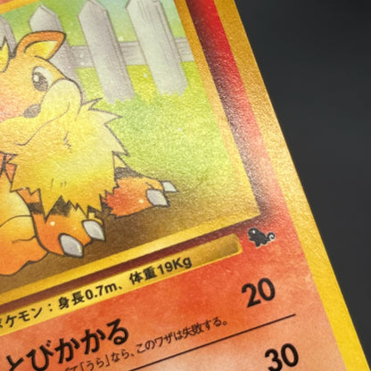 Growlith No. 058 Intro Pack Squirtle Japanese Pokémon Card