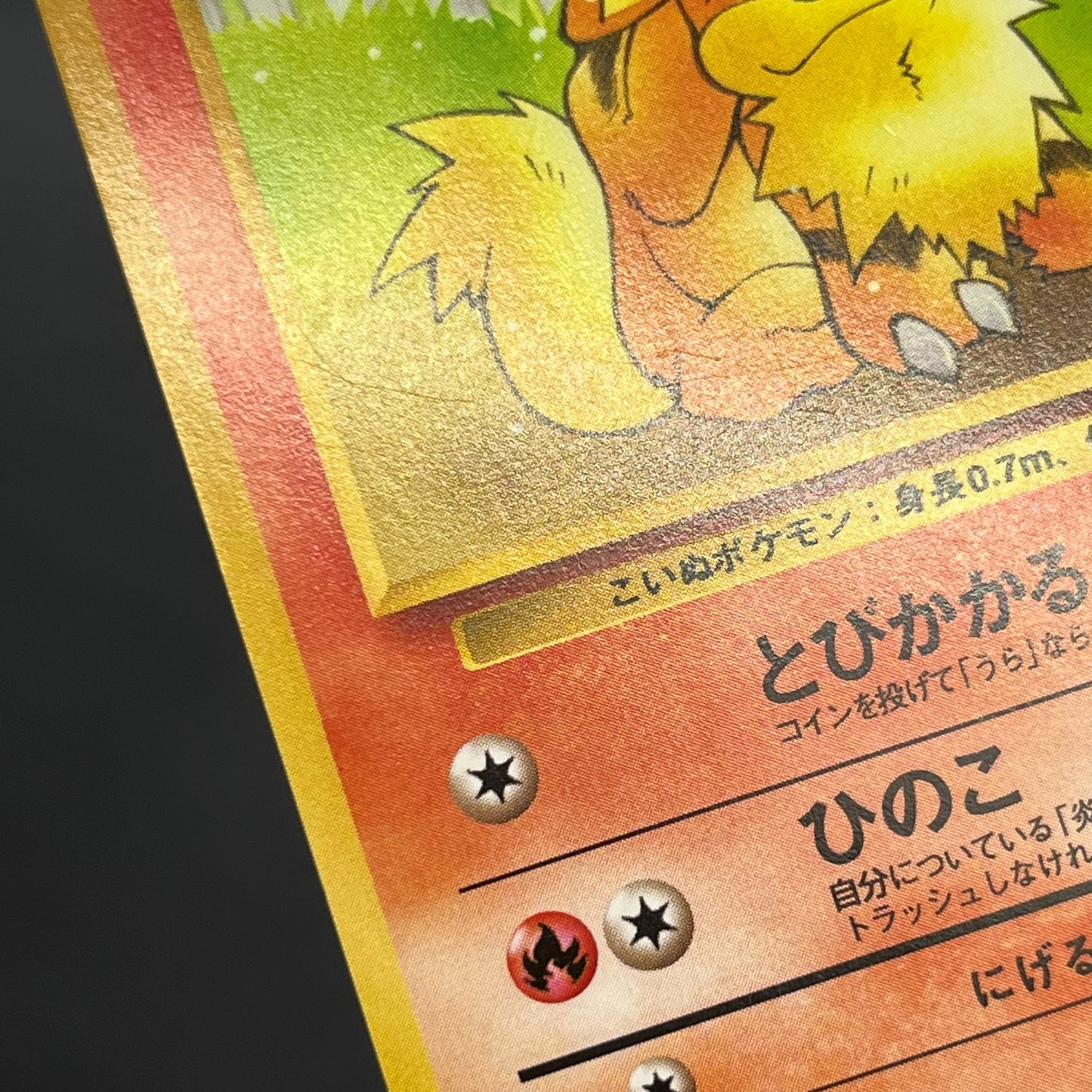 Growlith No. 058 Intro Pack Squirtle Japanese Pokémon Card
