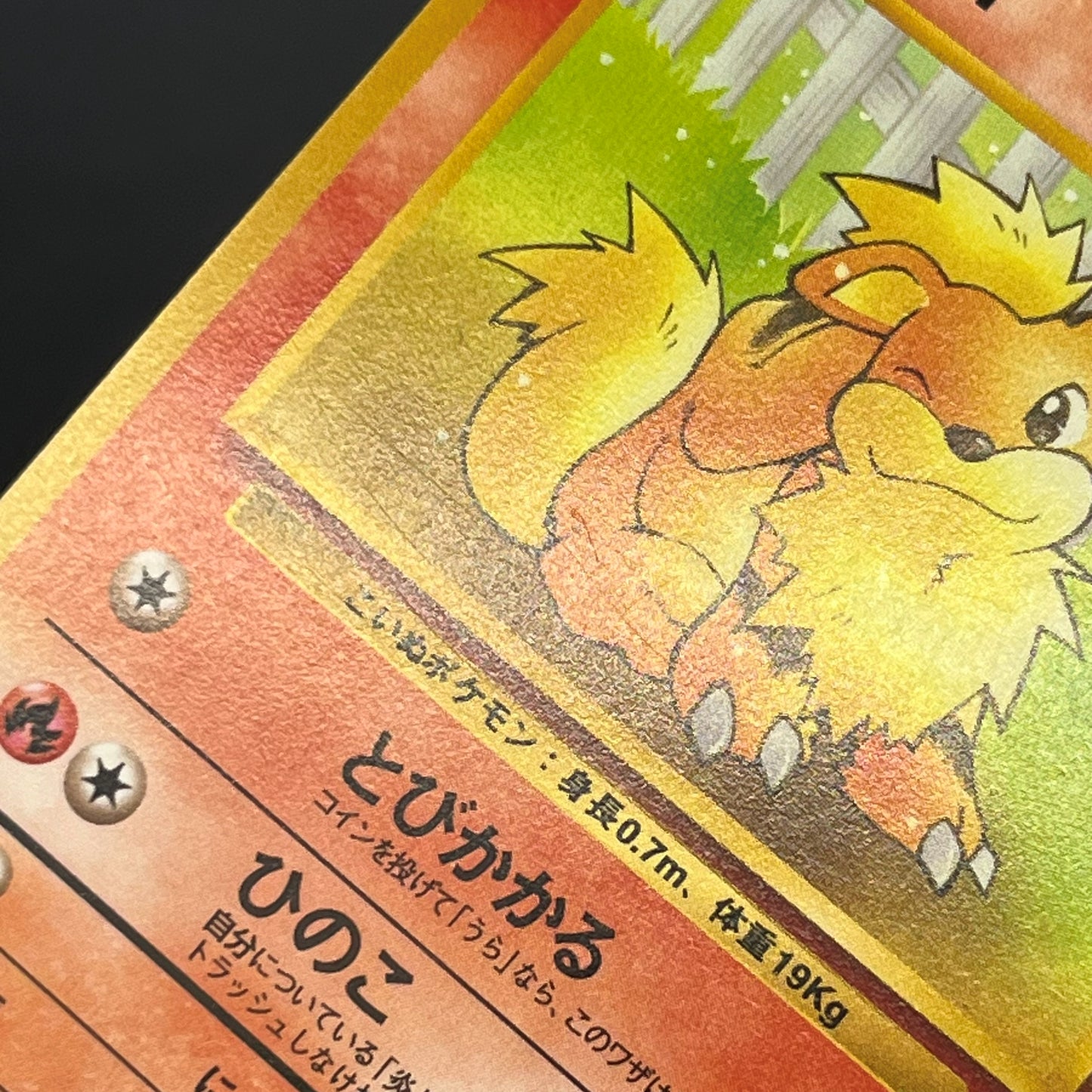 Growlith No. 058 Intro Pack Squirtle Japanese Pokémon Card