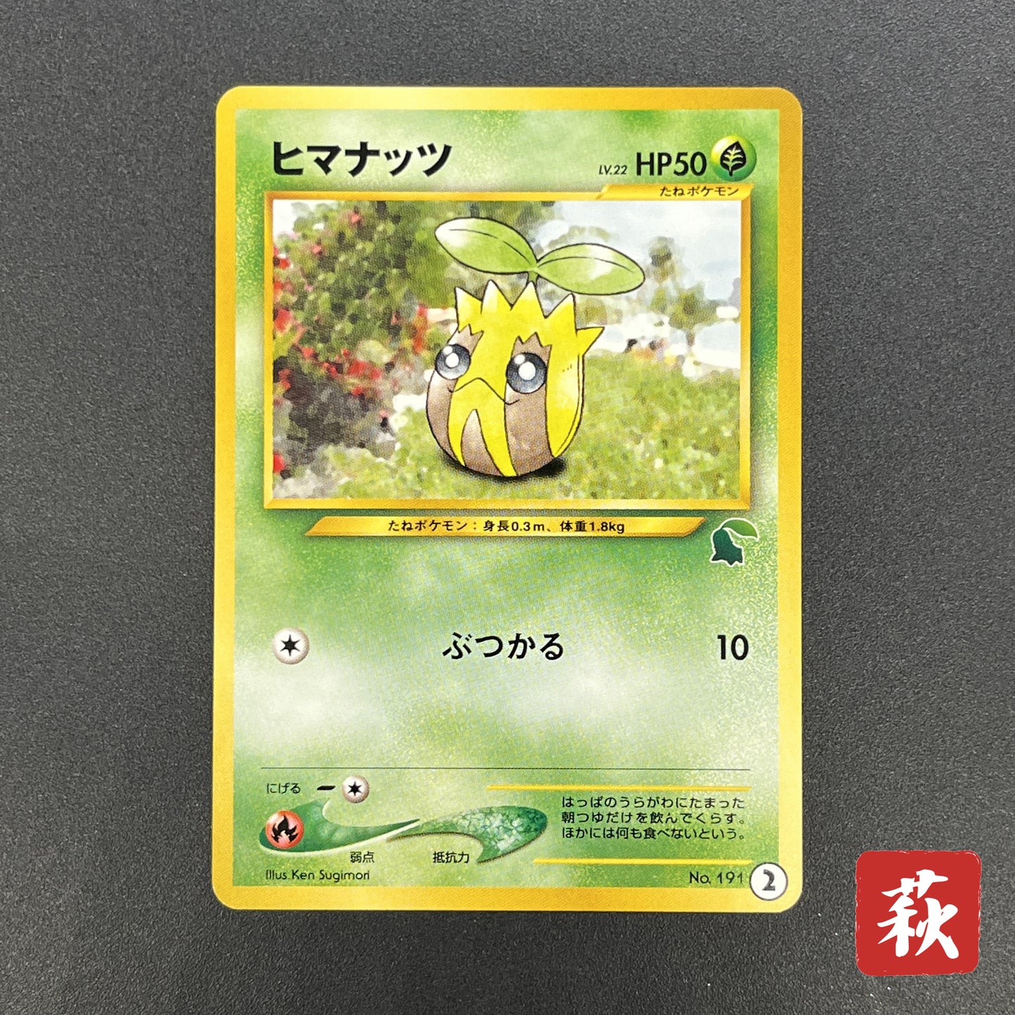 Sunkern 191 Intro Pack Chikorita Half Deck Pokemon Card