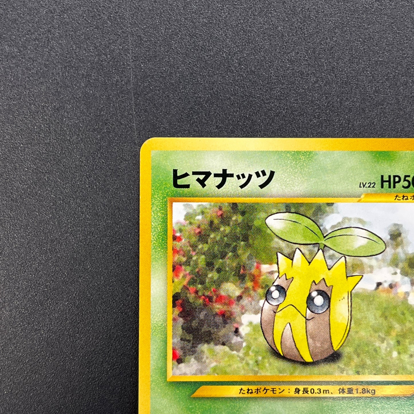 Sunkern 191 Intro Pack Chikorita Half Deck Pokemon Card