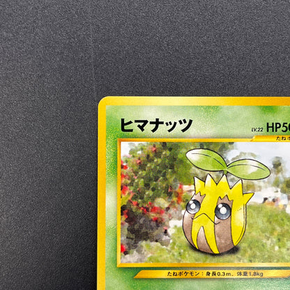 Sunkern 191 Intro Pack Chikorita Half Deck Pokemon Card