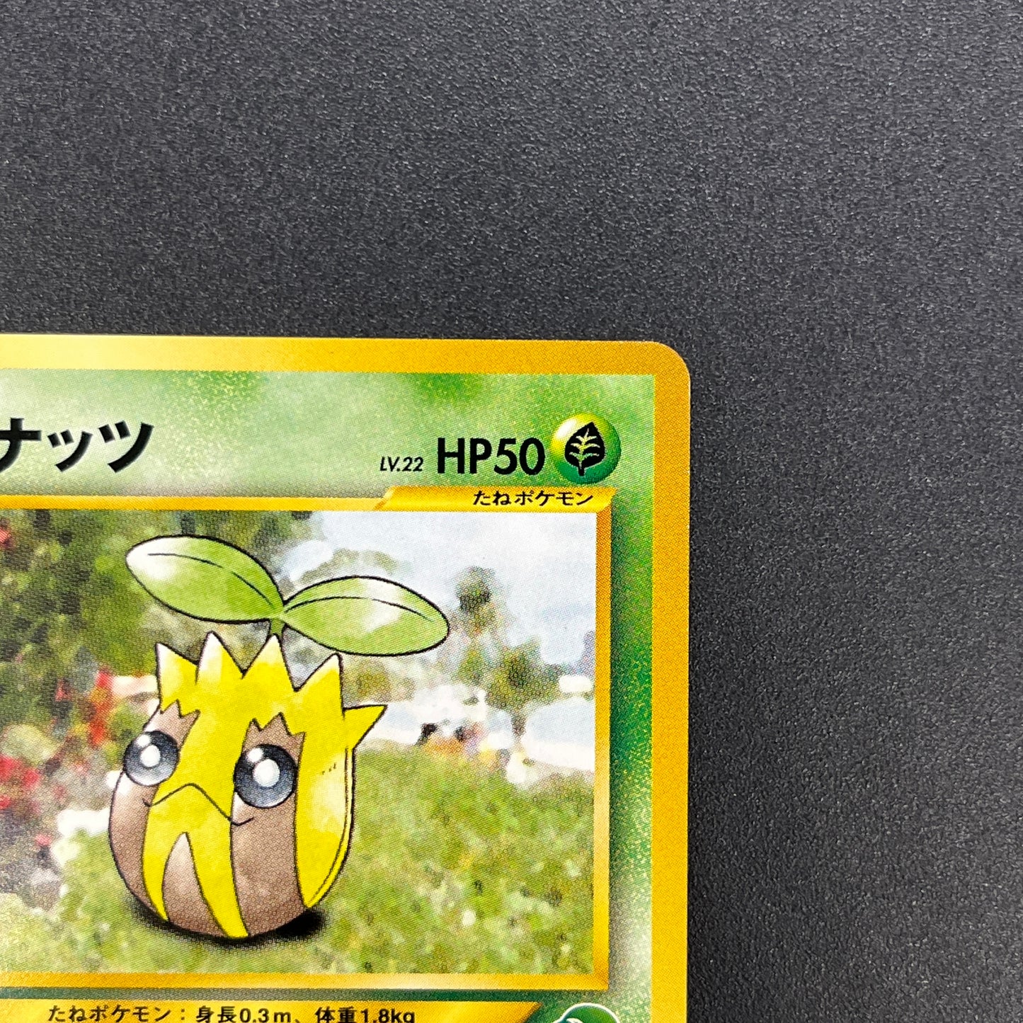 Sunkern 191 Intro Pack Chikorita Half Deck Pokemon Card