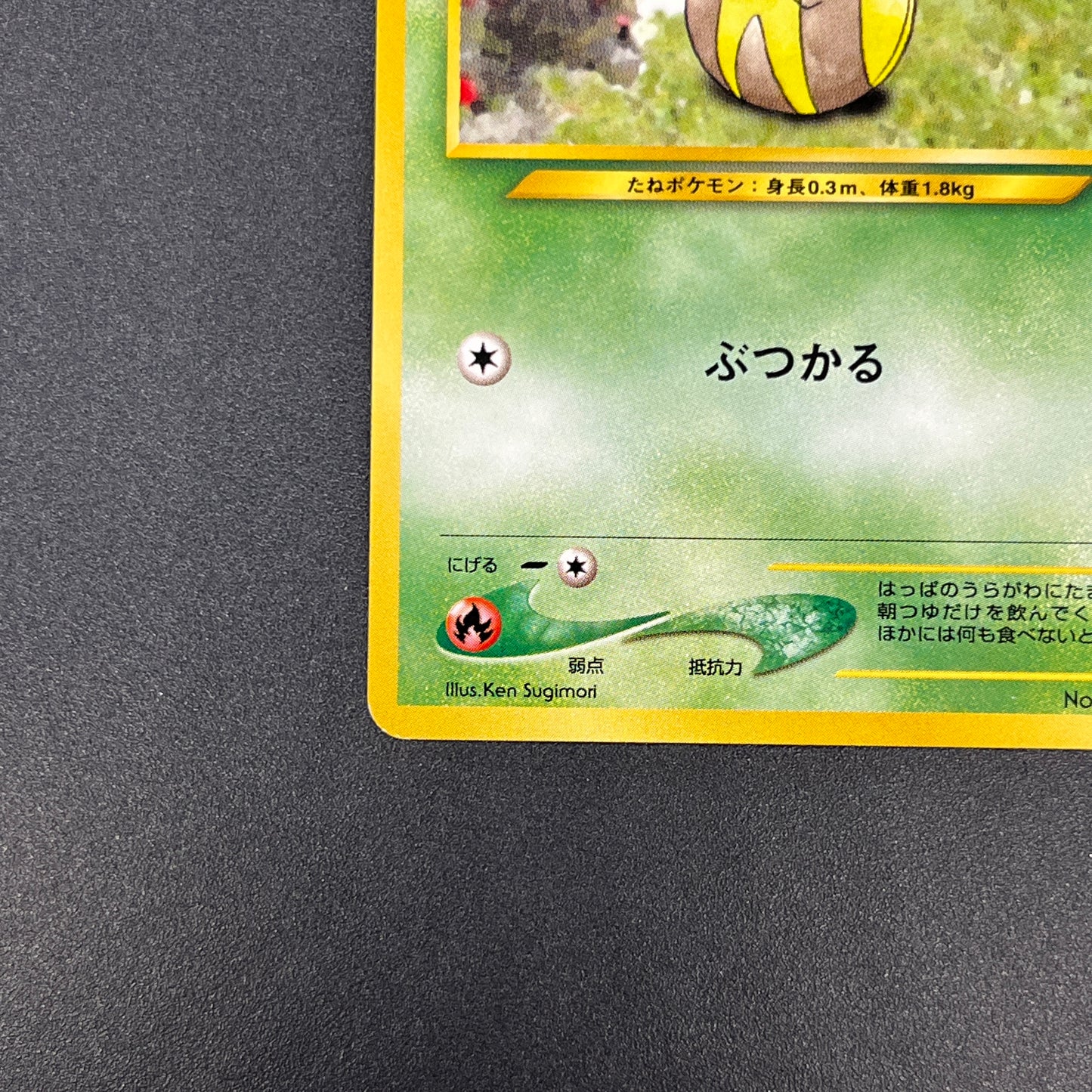 Sunkern 191 Intro Pack Chikorita Half Deck Pokemon Card