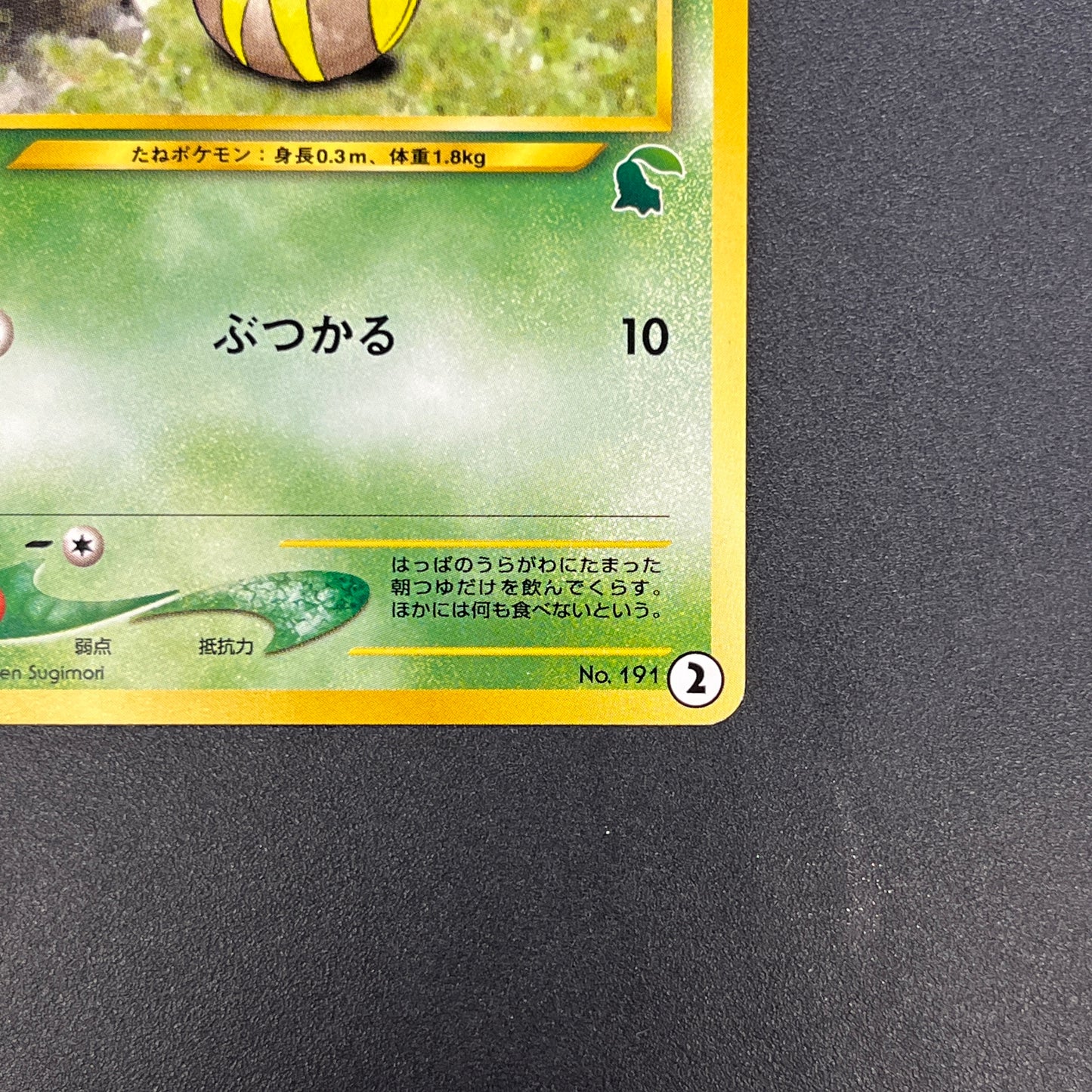 Sunkern 191 Intro Pack Chikorita Half Deck Pokemon Card