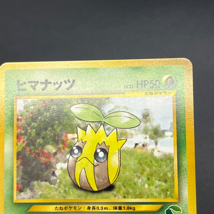 Sunkern 191 Intro Pack Chikorita Half Deck Pokemon Card