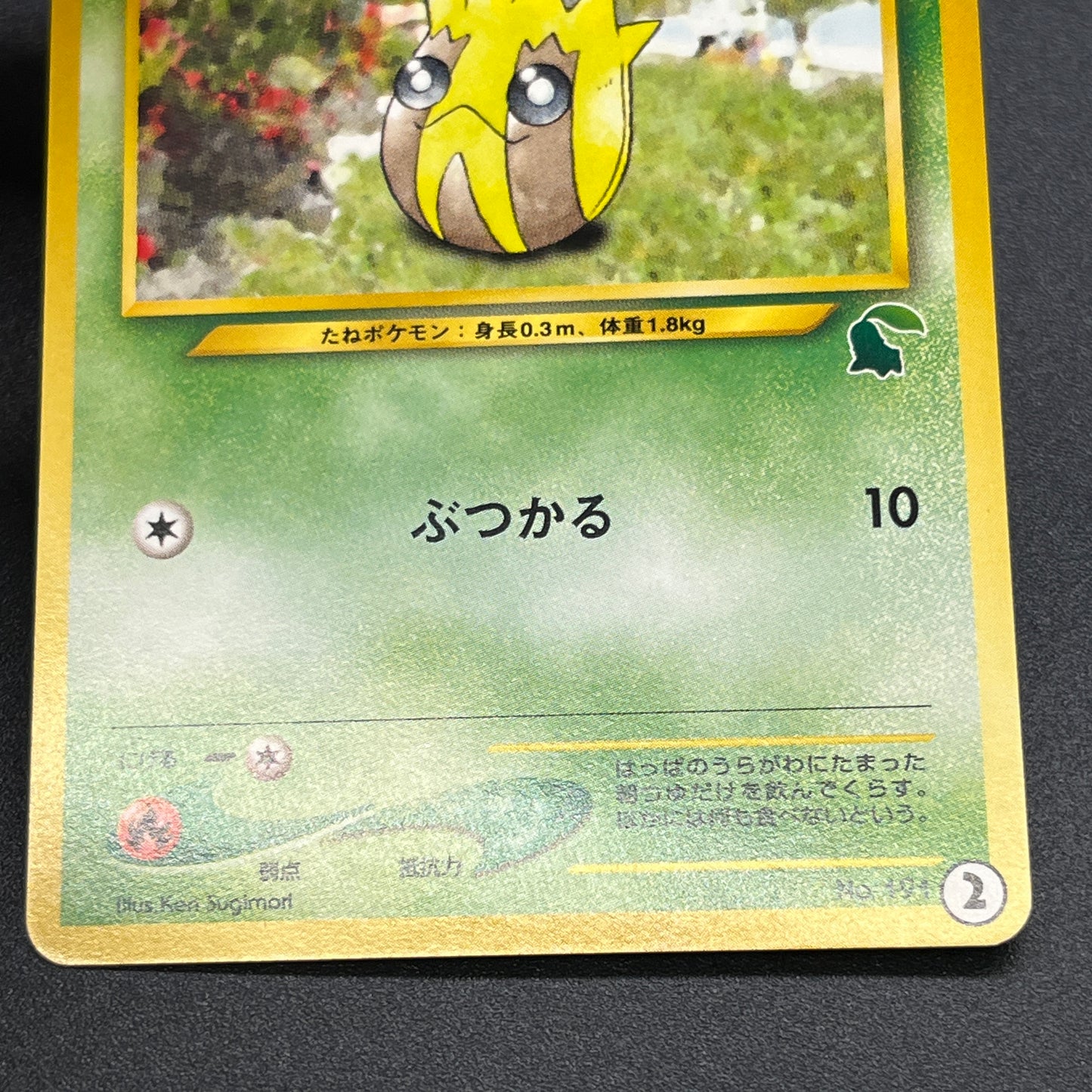 Sunkern 191 Intro Pack Chikorita Half Deck Pokemon Card