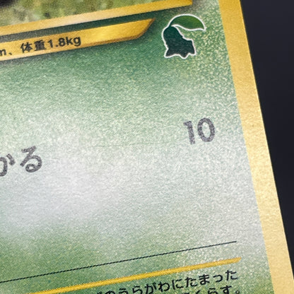 Sunkern 191 Intro Pack Chikorita Half Deck Pokemon Card