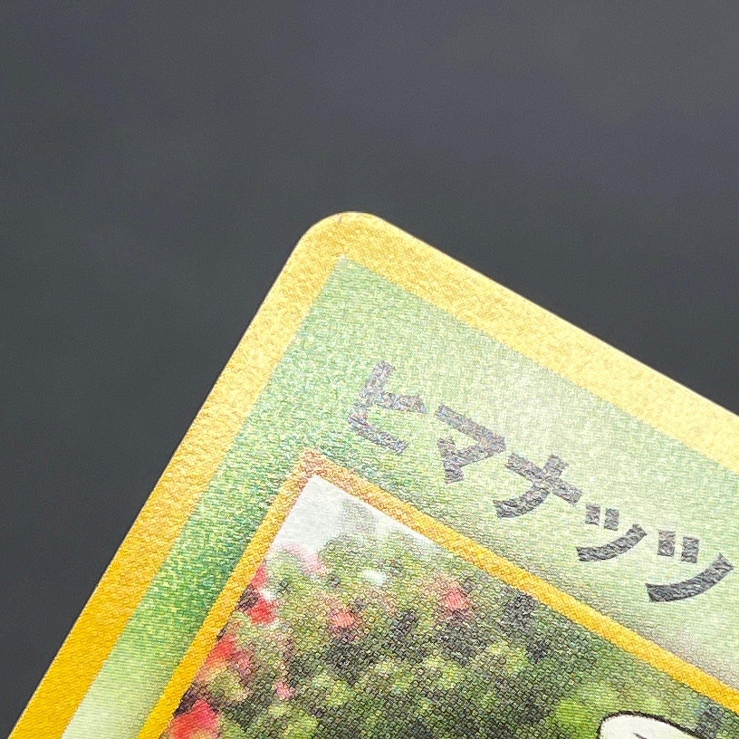 Sunkern 191 Intro Pack Chikorita Half Deck Pokemon Card