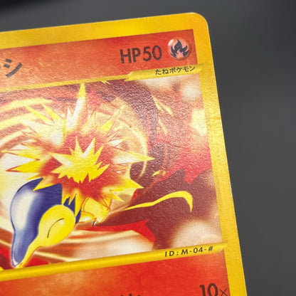 Cyndaquil 006/018 Totodile McDonald's Minimum Pack Card