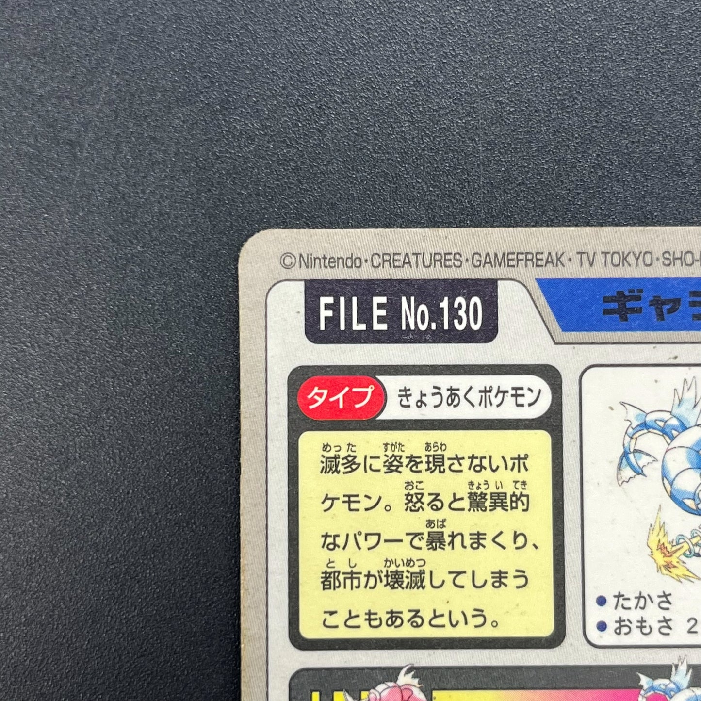 Gyarados File No. 130 Bandai Carddass Prism Pokémon Card