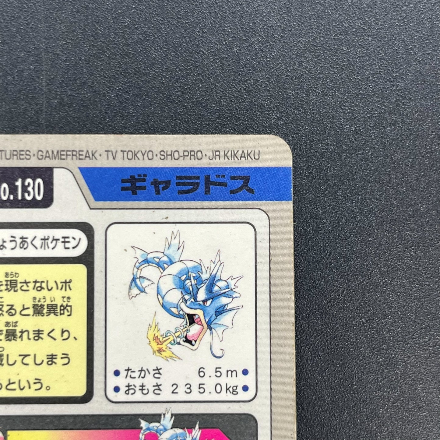 Gyarados File No. 130 Bandai Carddass Prism Pokémon Card
