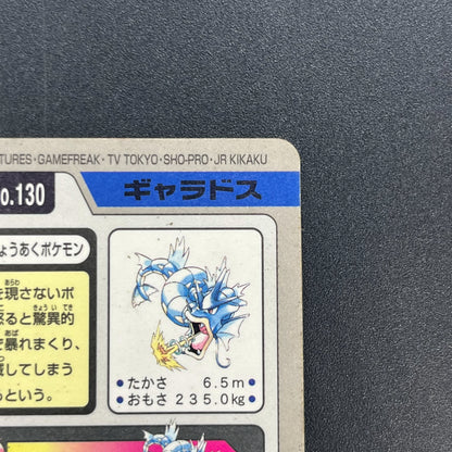Gyarados File No. 130 Bandai Carddass Prism Pokémon Card
