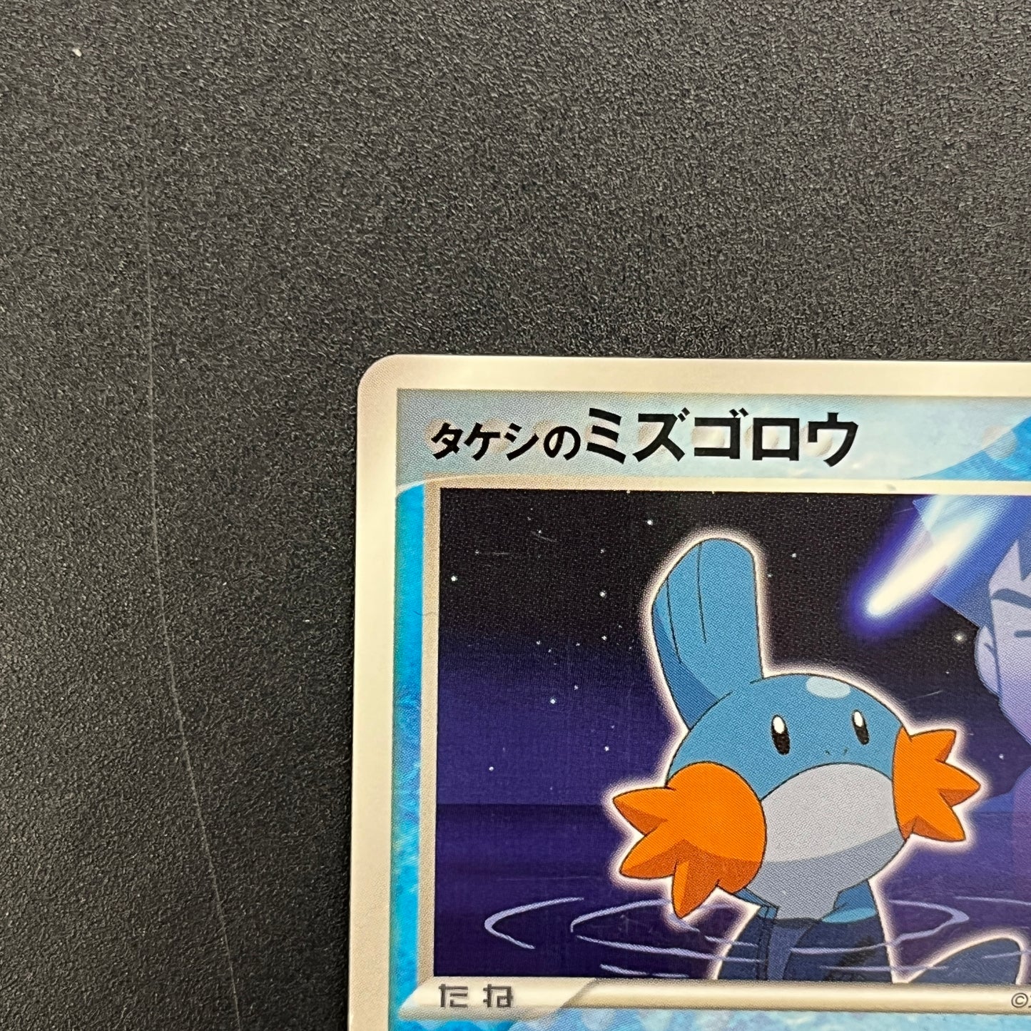 Brock's Mudkip 038/ADV-P Shogakukan Elementary Promo Card